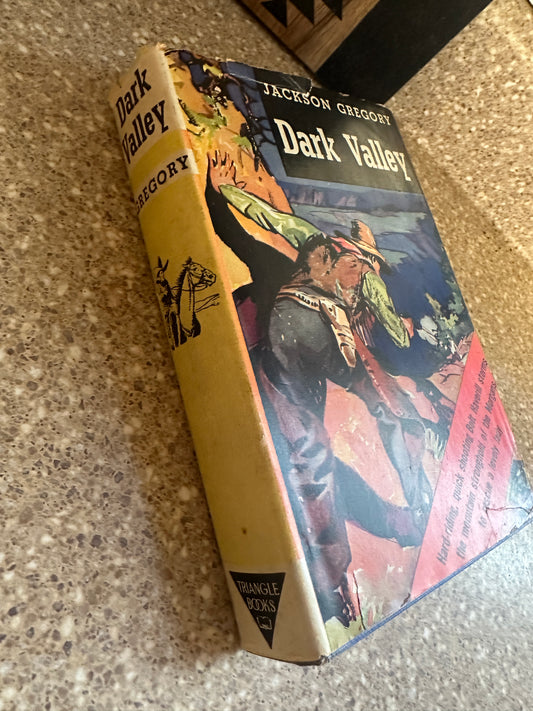 Dark valley book