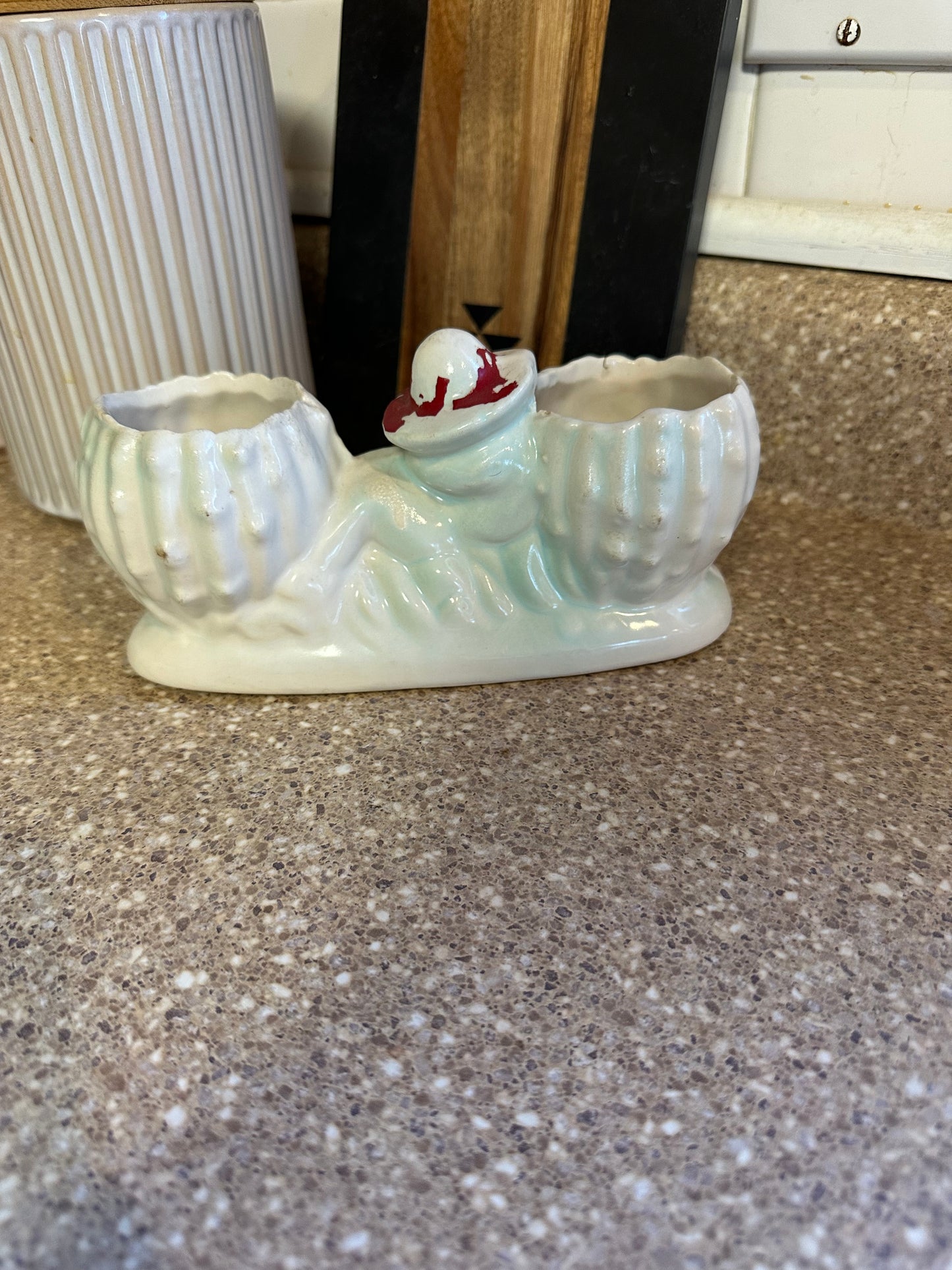 Cactus planter
