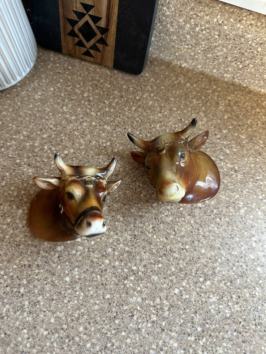 Horned cow s&p