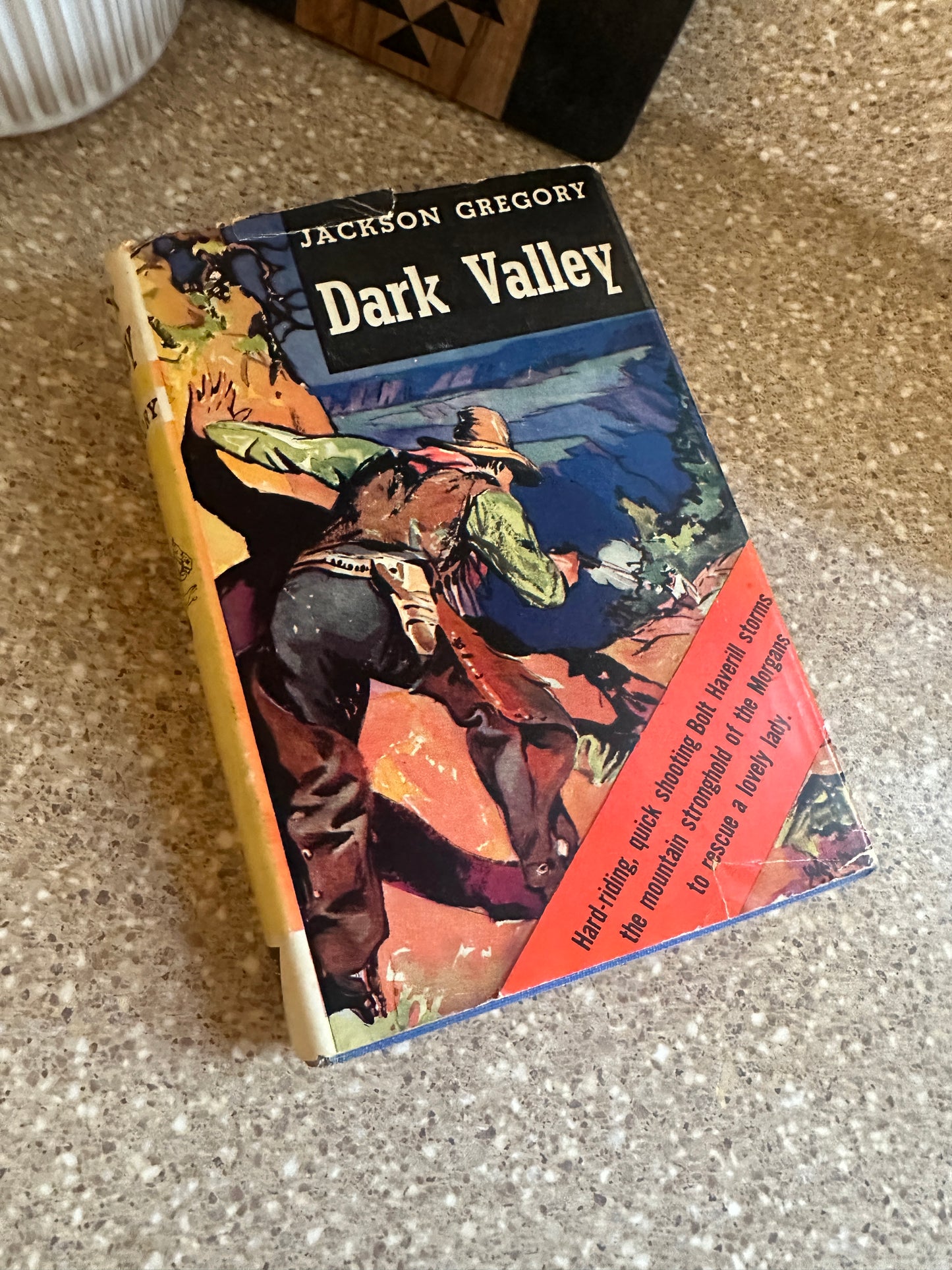 Dark valley book