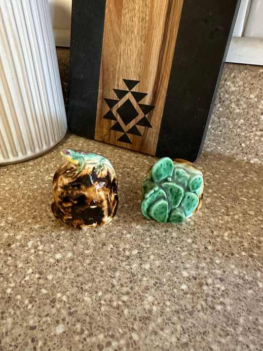 Cactus/lizard S&P