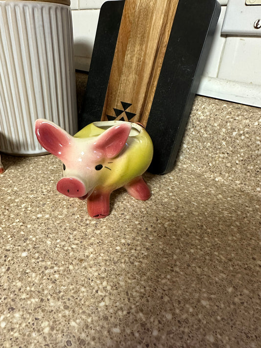 Pig planter