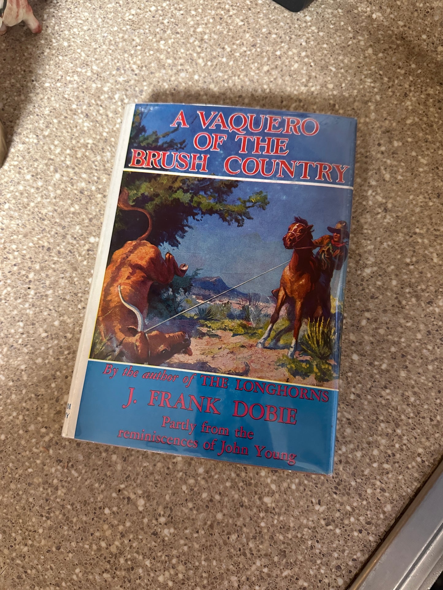 Brush county book