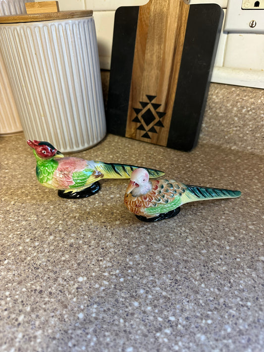 Bird S&P