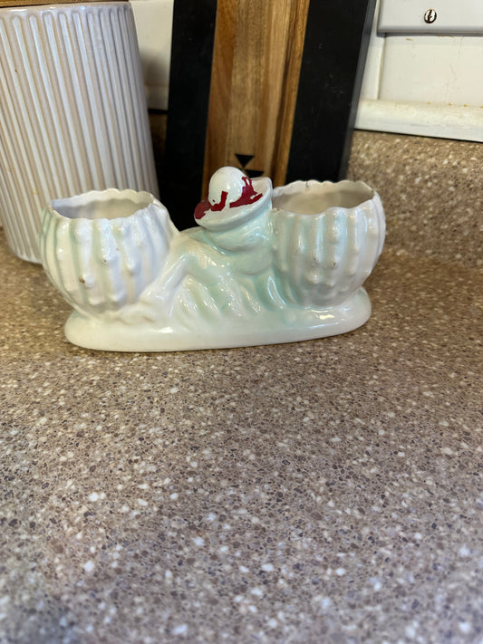 Cactus planter